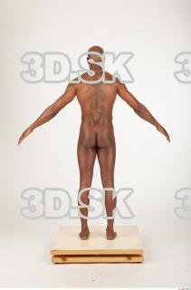 Body texture of Virgil 0050